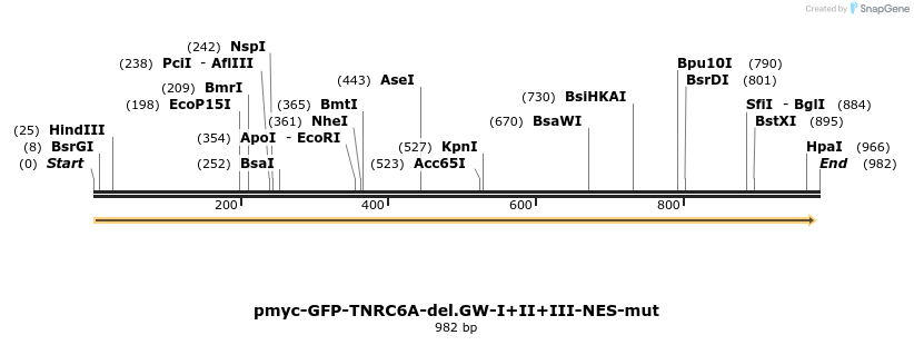59525_map