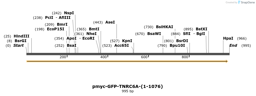59536_map