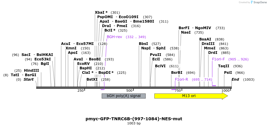 59551_map