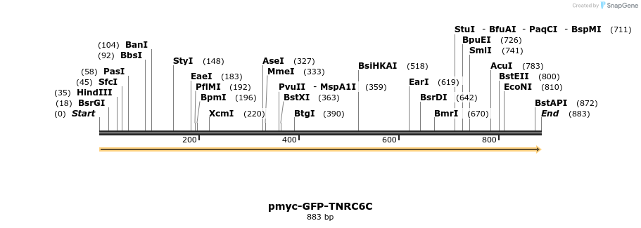 59555_map