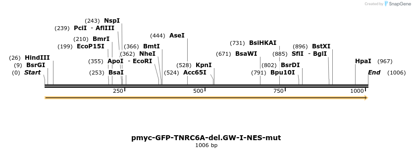 59562_map