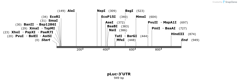 59564_map