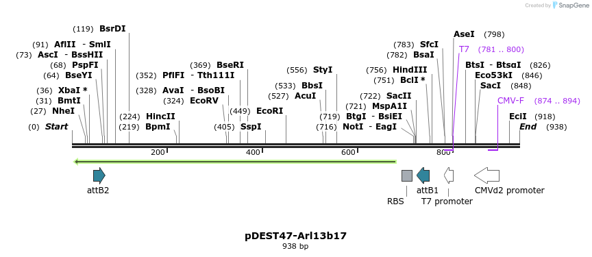 59568_map