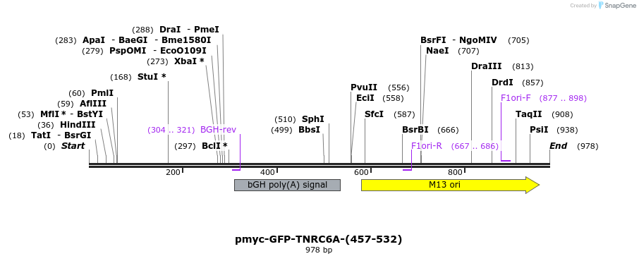 59577_map