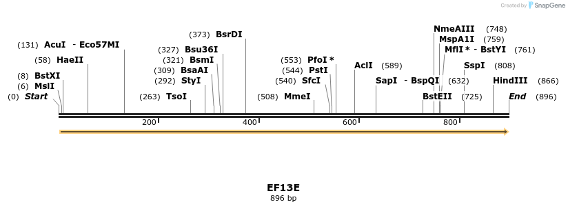 59581_map