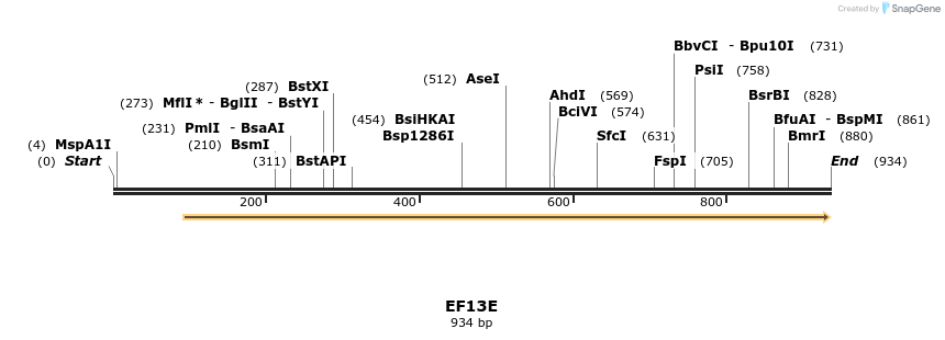 59582_map