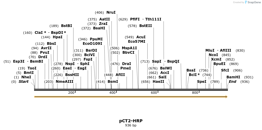59593_map