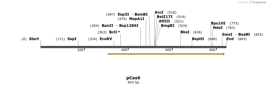 59595_map