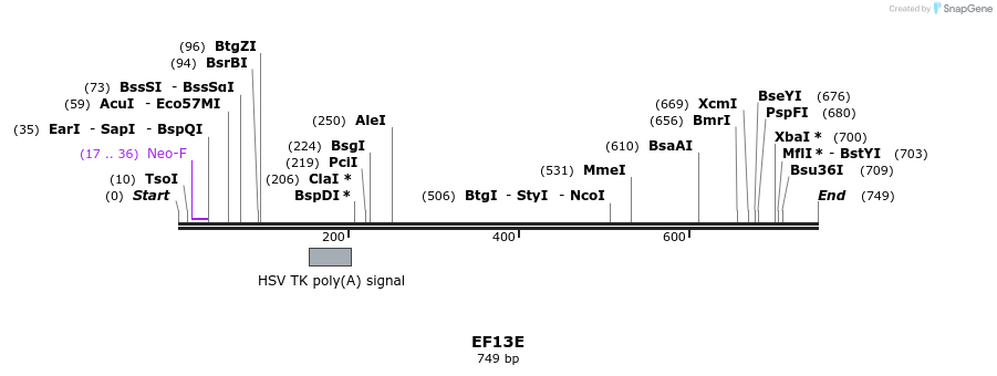 59601_map