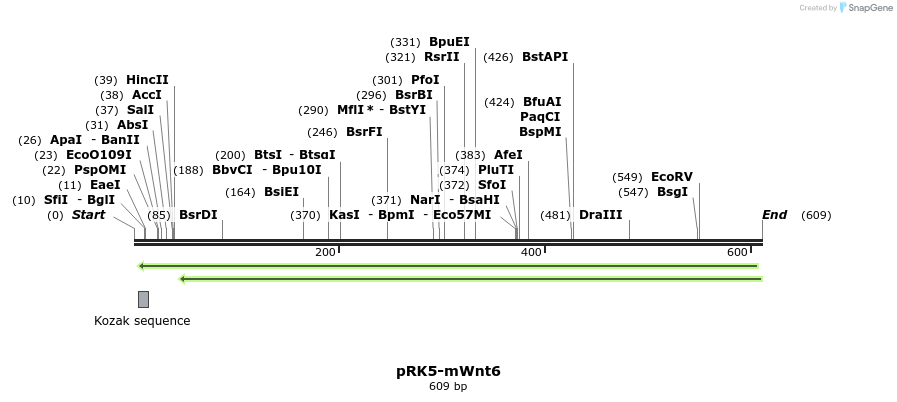 59604_map