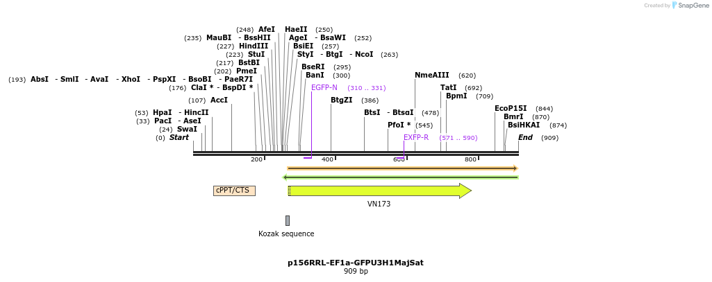 59606_map