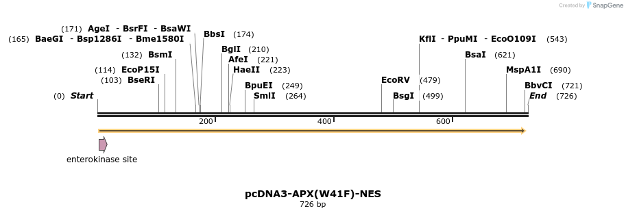 59611_map