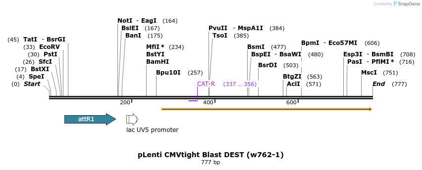 59612_map