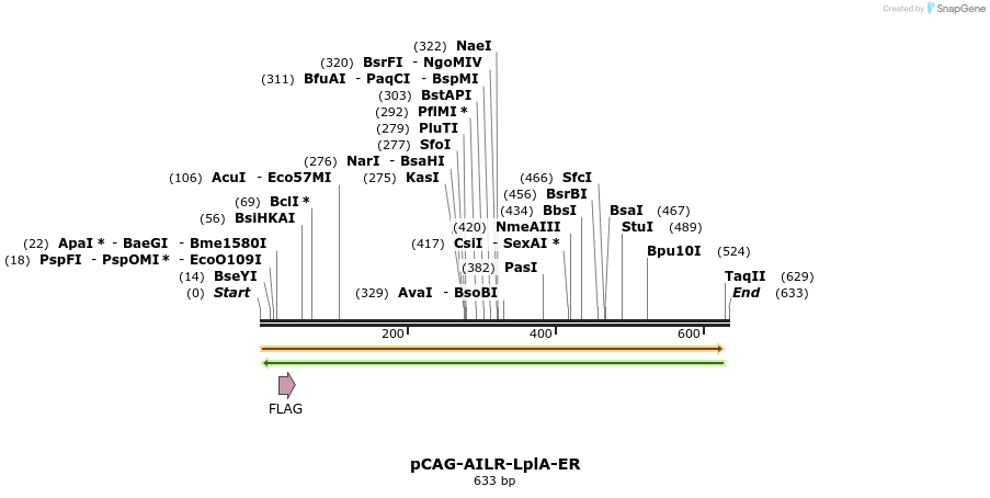 59614_map