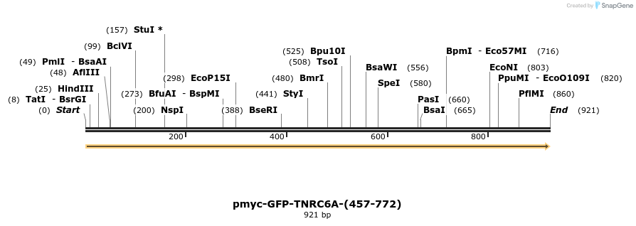 59616_map