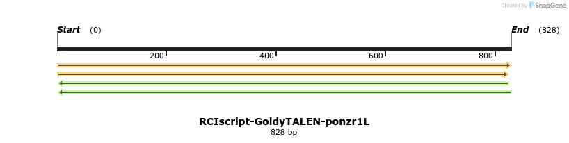 59617_map