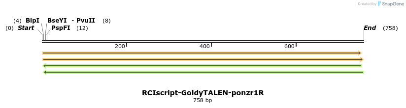 59618_map
