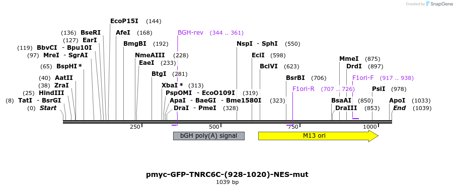 59620_map