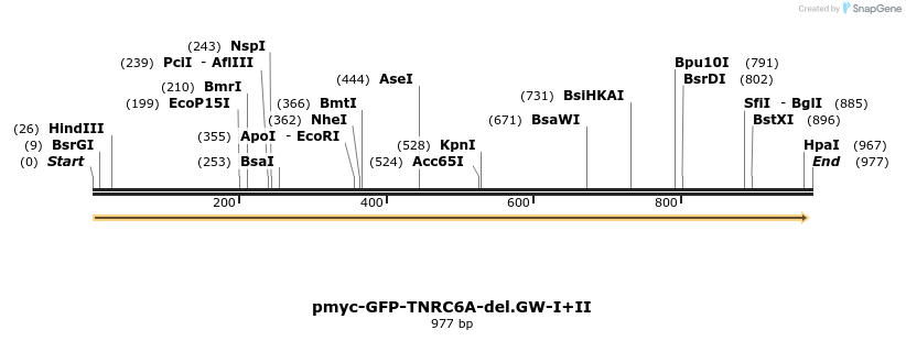 59621_map