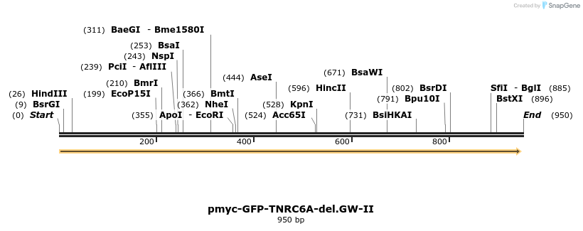 59622_map