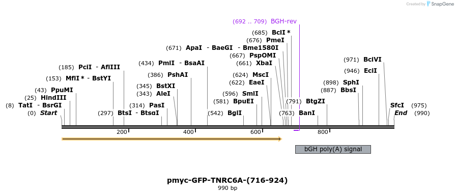 59623_map