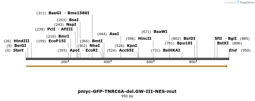 59629_map