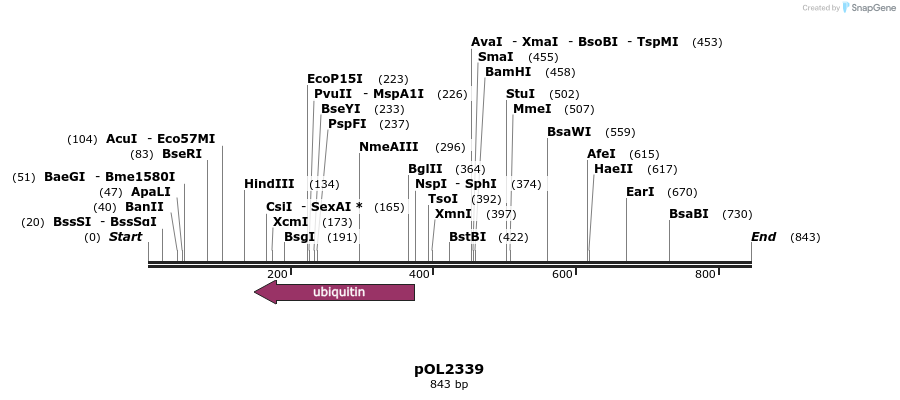59640_map