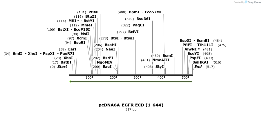 59641_map