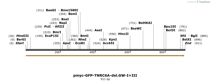 59643_map