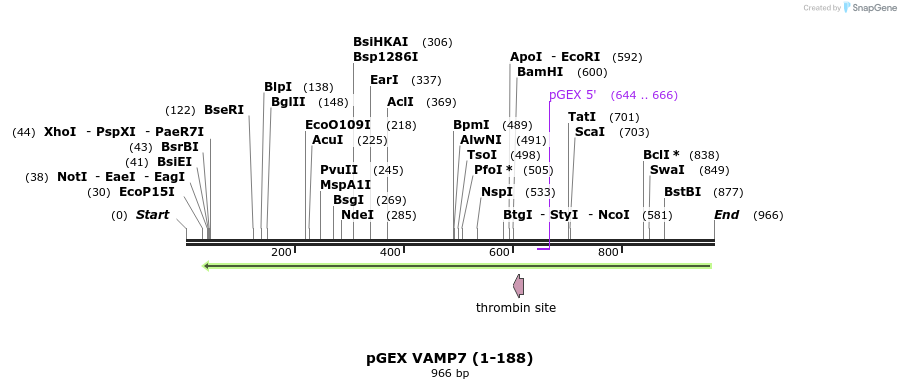 59657_map