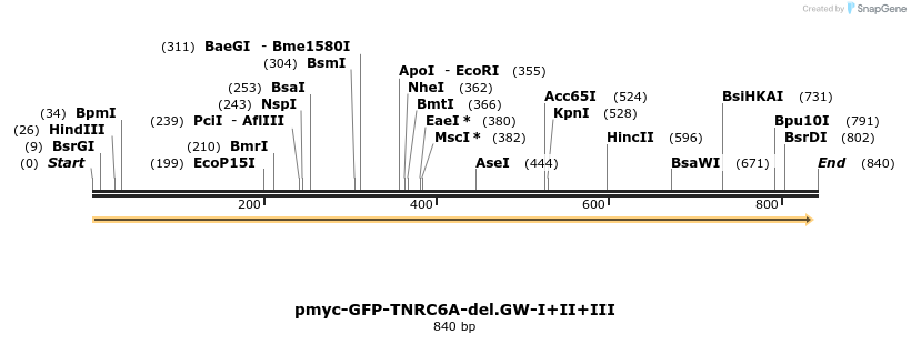 59665_map
