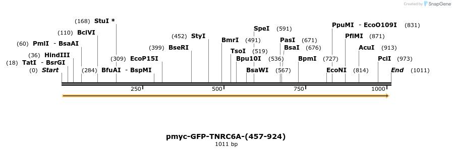 59669_map