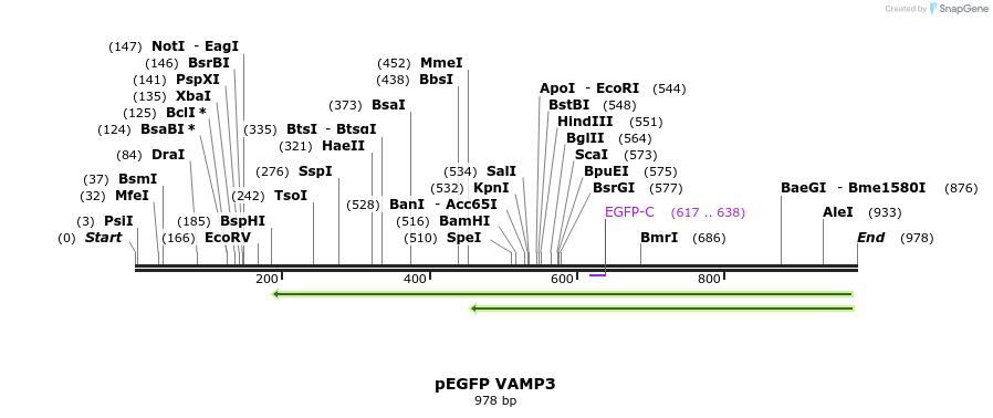 59673_map