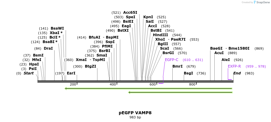 59674_map