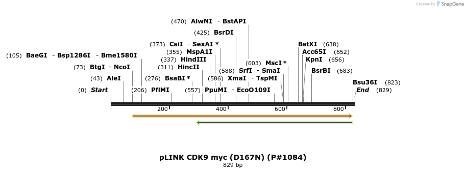 59681_map