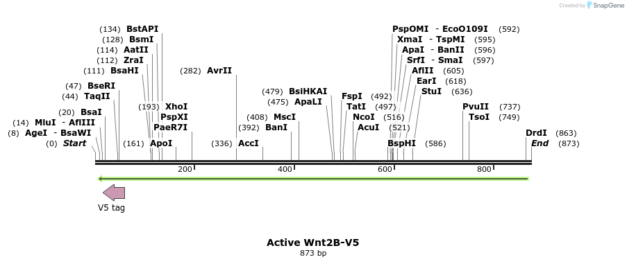 59683_map