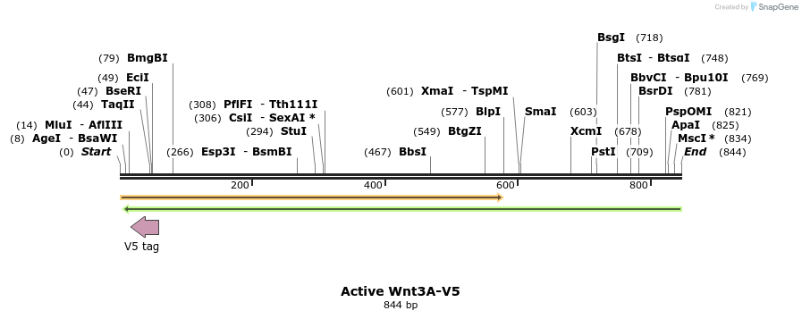 59685_map