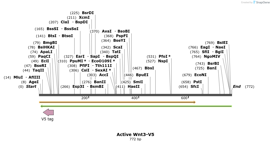 59686_map