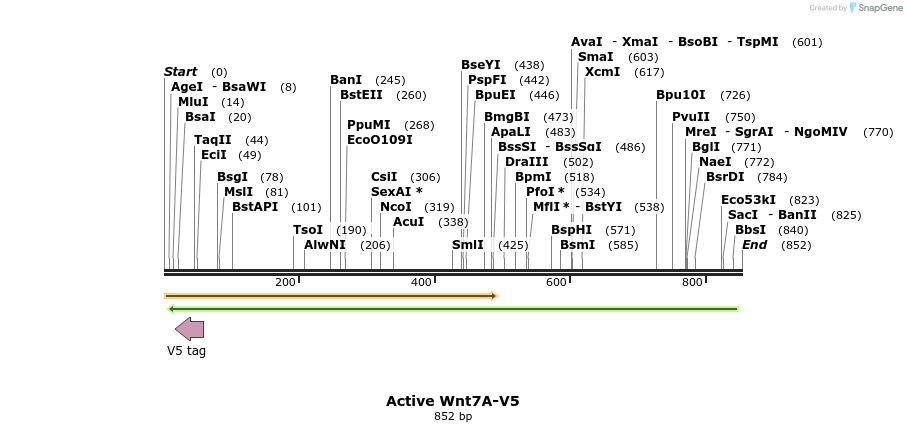 59693_map