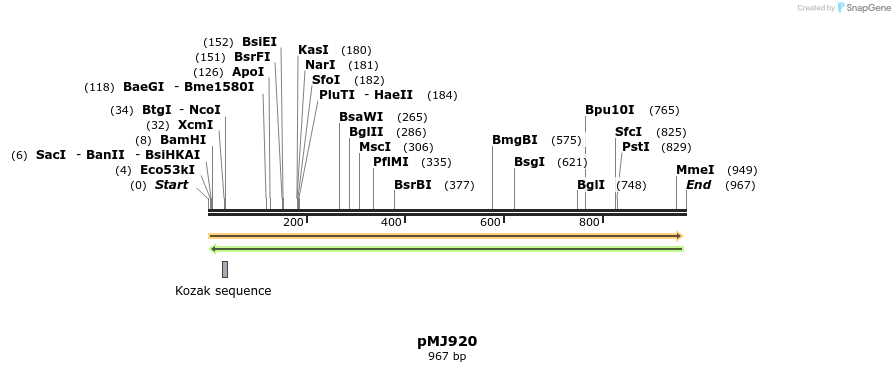 59694_map