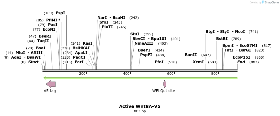 59696_map