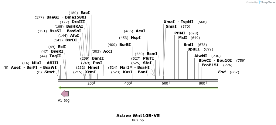 59702_map