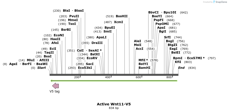 59703_map