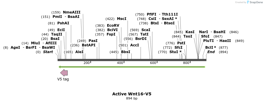 59704_map