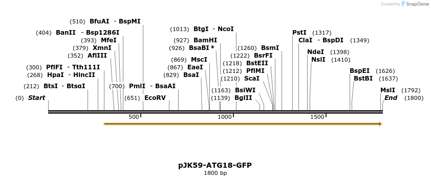 59705_map