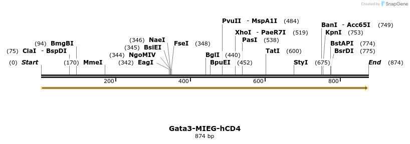 59706_map