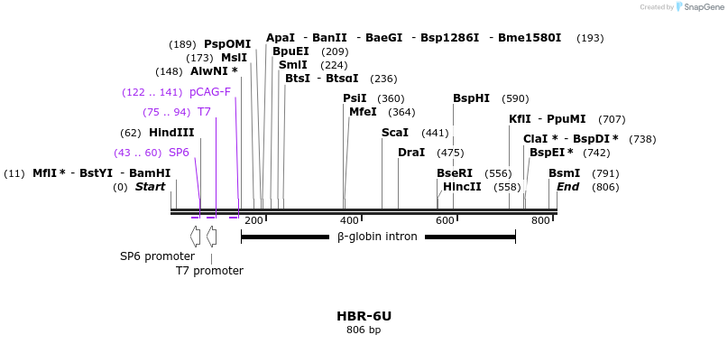 59707_map