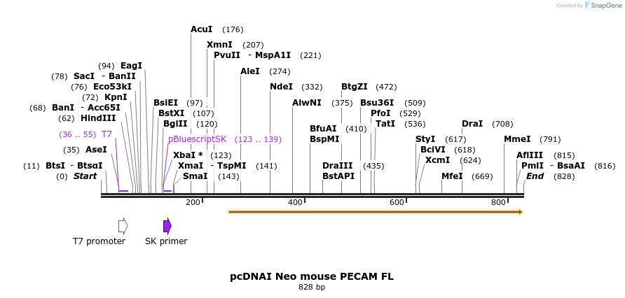 59709_map