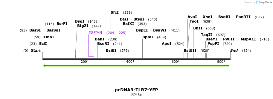 59710_map