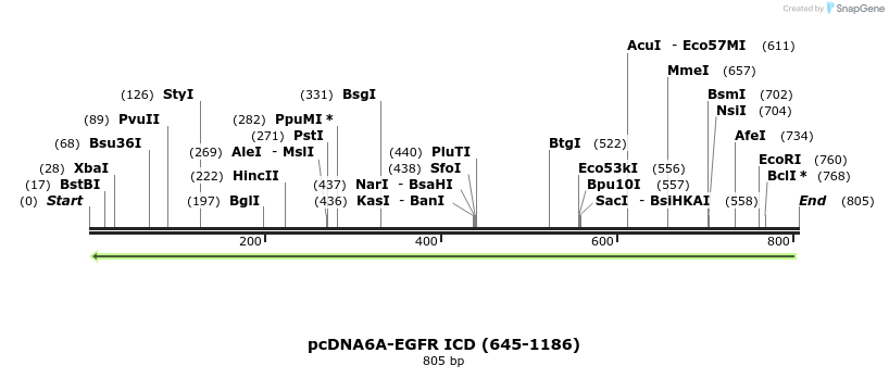 59712_map